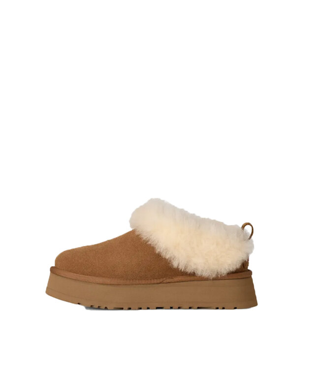 UGG Femmes Tazzelle Noisette