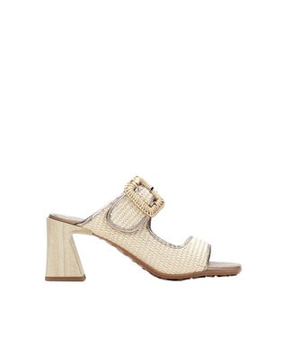 Hispanitas Miami Latte