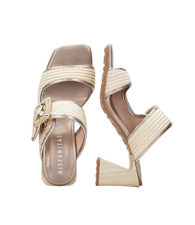 Hispanitas Miami Latte