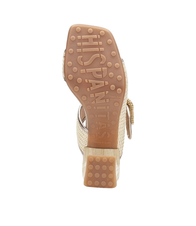 Hispanitas Miami Latte