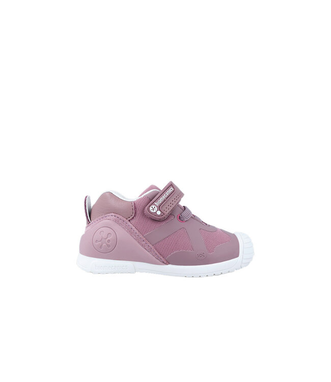 Biomecanics 241001 Mauve