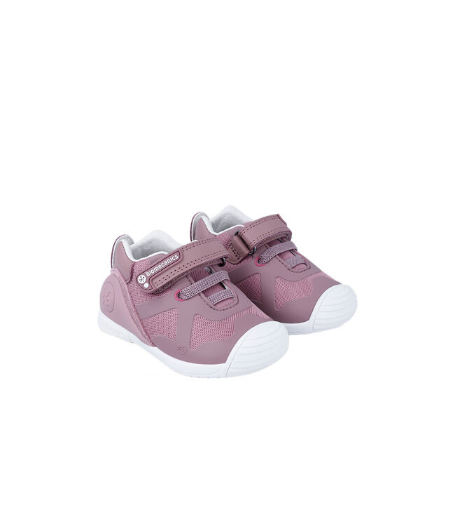 Biomecanics 241001 Mauve