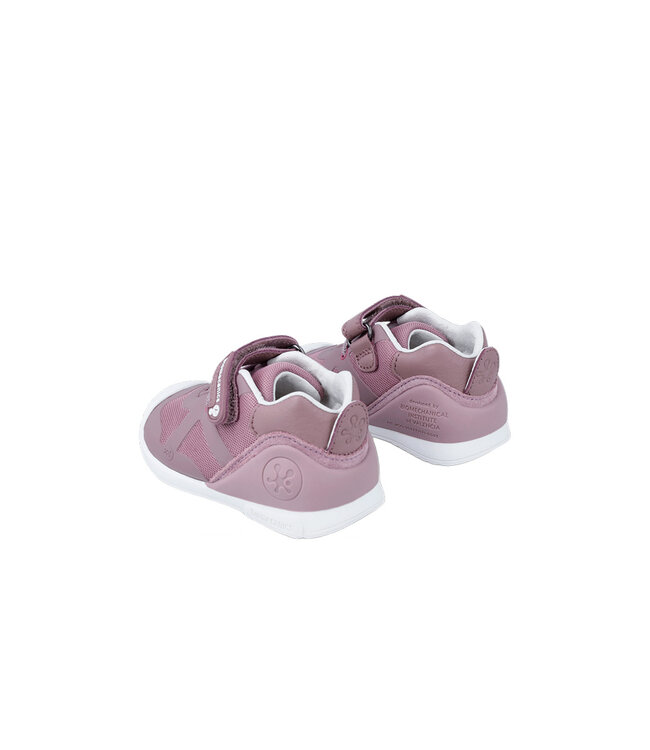 Biomecanics 241001 Mauve