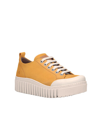 The ART Company 1535 Brighton Honey