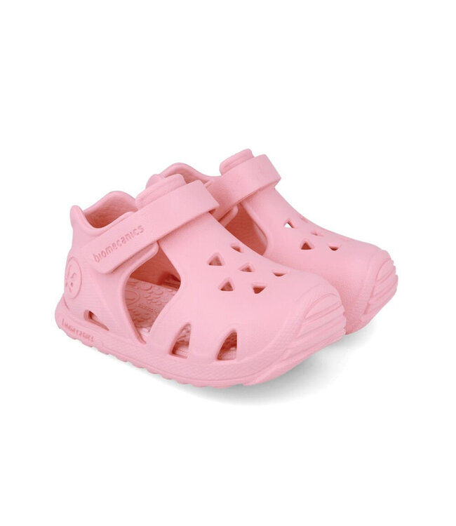 Biomecanics 252290 Rose