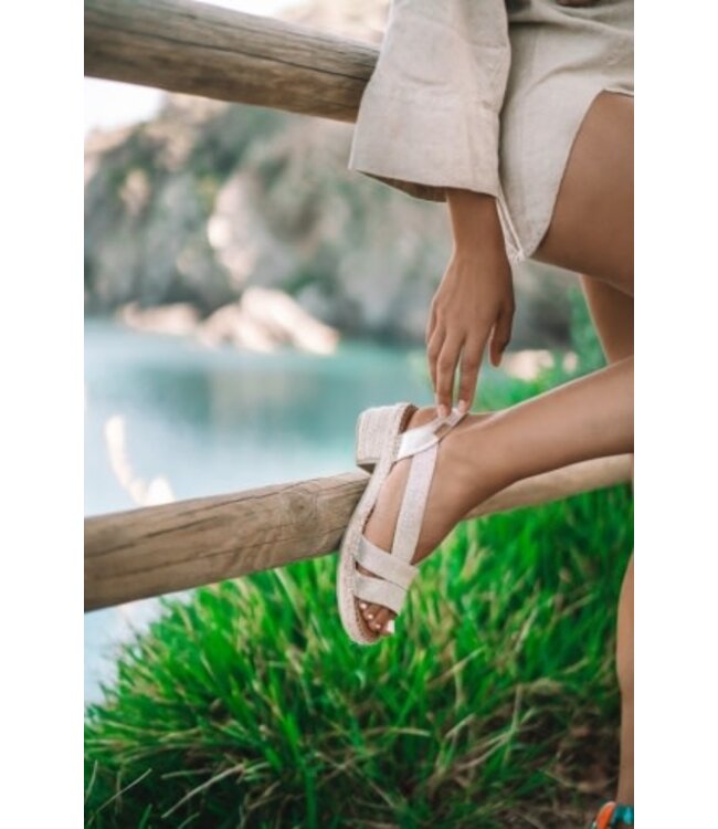 Toni Pons Dama Platine