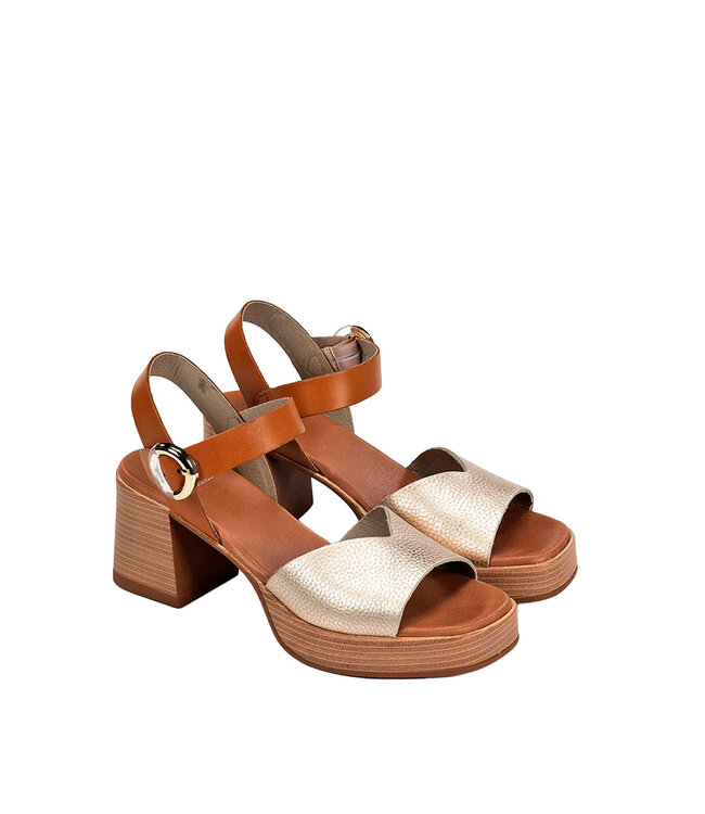 Dorking by Fluchos Women's -Diamond D9287 Platinum / Tan