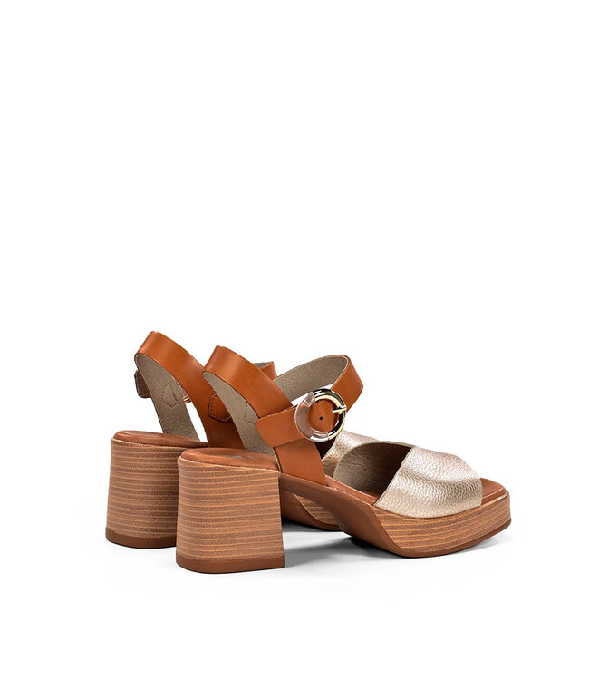 Dorking by Fluchos Femmes - Diamond D9287 Platine / Tan