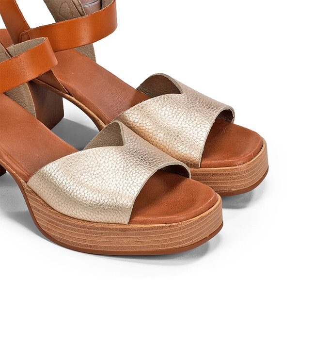 Dorking by Fluchos Femmes - Diamond D9287 Platine / Tan