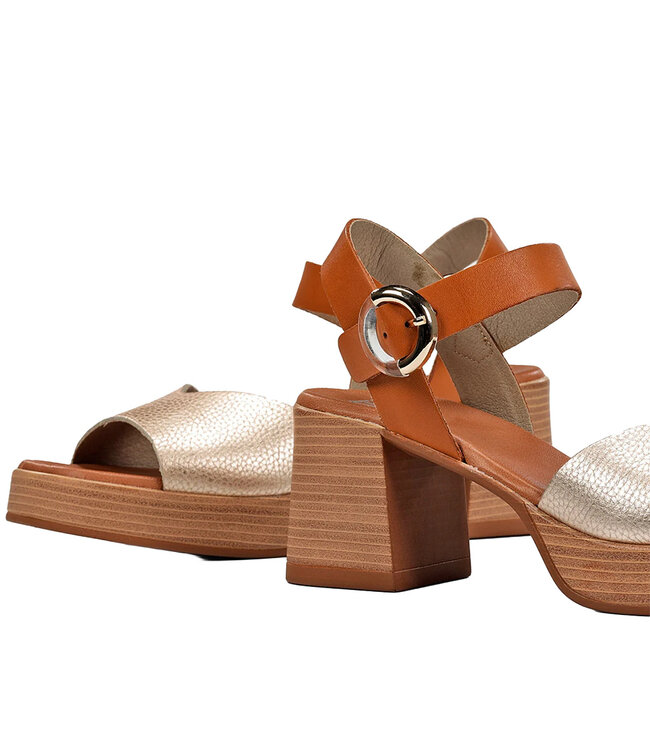 Dorking by Fluchos Women's -Diamond D9287 Platinum / Tan