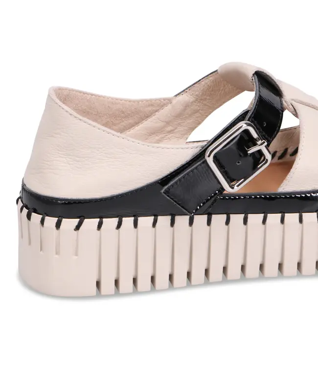 Django & Juliette Women's- Baytown Platform Sneaker Black / Almond