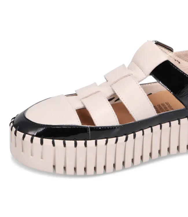 Django & Juliette Women's- Baytown Platform Sneaker Black / Almond