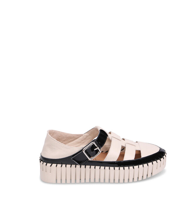 Django & Juliette Women's- Baytown Platform Sneaker Black / Almond