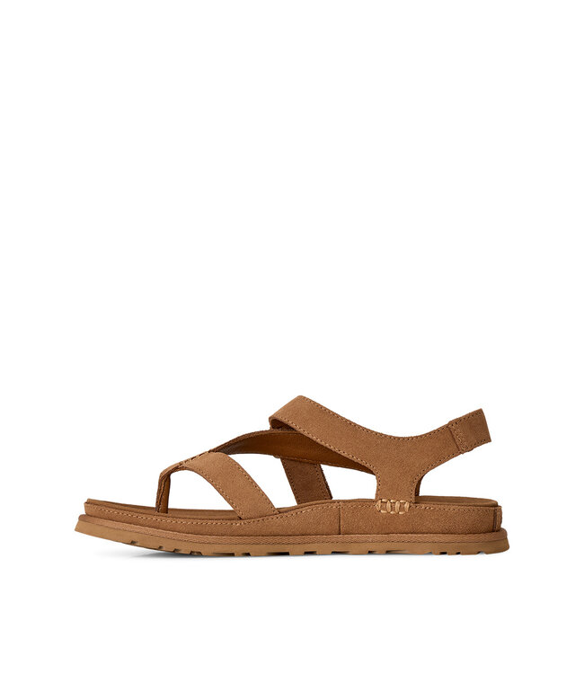 UGG Women's - Goldengaze Toe Post Chestnut