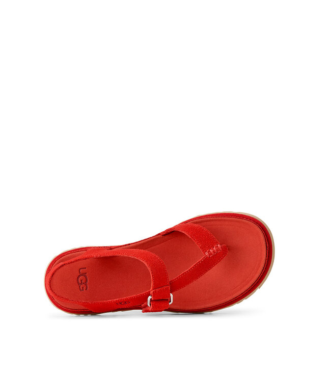 UGG Femmes - Goldengaze Toe Post Rouge