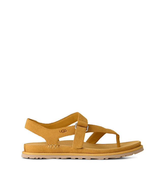 UGG Femmes - Goldengaze Toe Post Blé