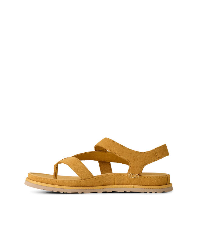UGG Women's - Goldengaze Toe Post Wheat