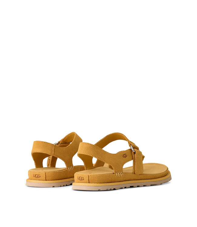 UGG Women's - Goldengaze Toe Post Wheat