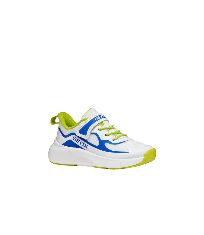 Geox Enfants - Pro- Ran  Blanc/ Bleu roi