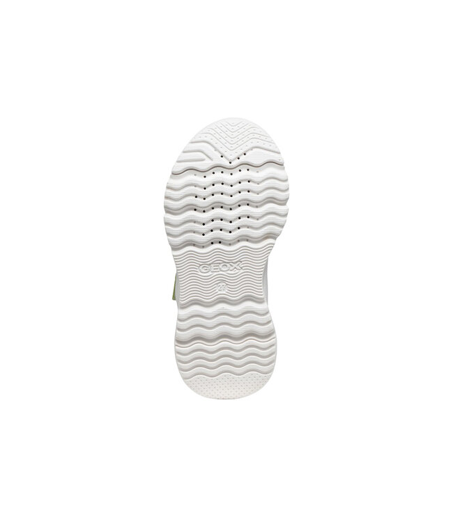 Geox Enfants - Loftus Multi / Blanc