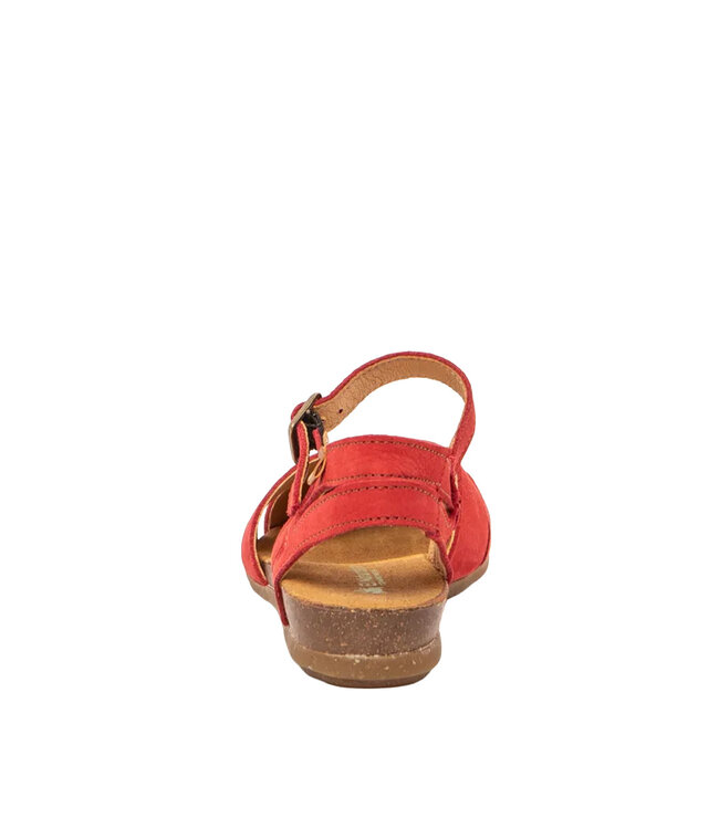 El Naturalista Stella N5207 Tibet