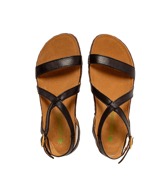 El Naturalista Panglao N5802 Black