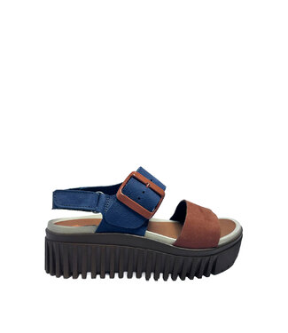 The ART Company 1578 Brighton Ocean / Orange Foncé