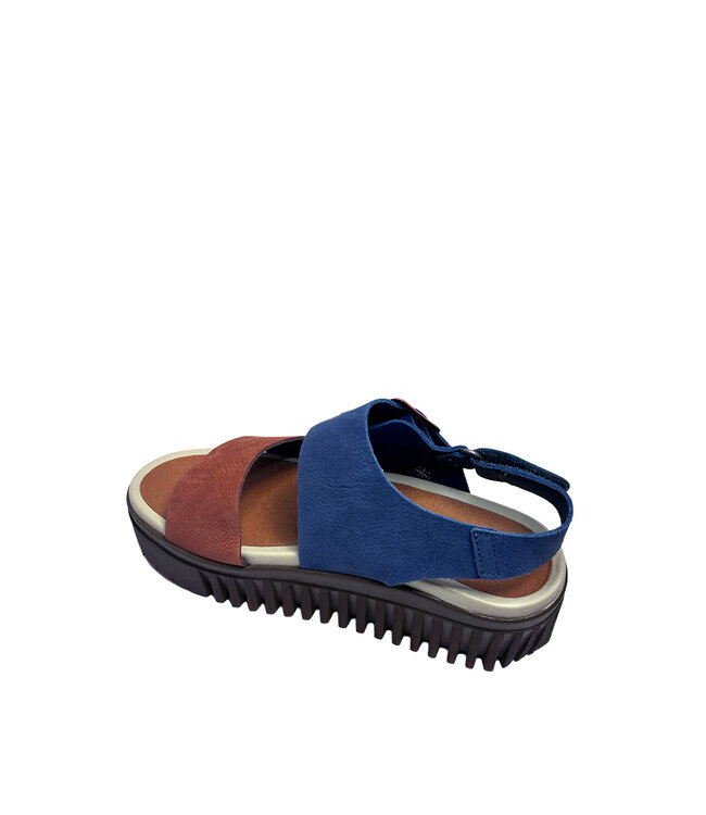 The ART Company 1578 Brighton Ocean / Orange Foncé