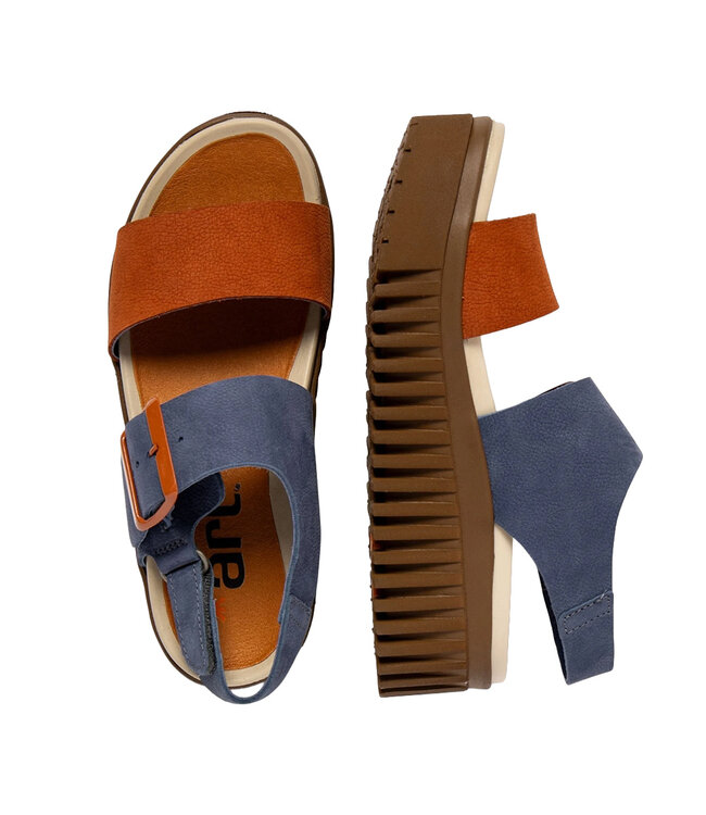 The ART Company 1578 Brighton Ocean / Dark Orange