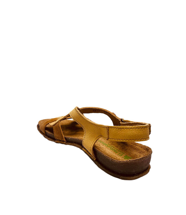 El Naturalista Panglao  N5819 Honey