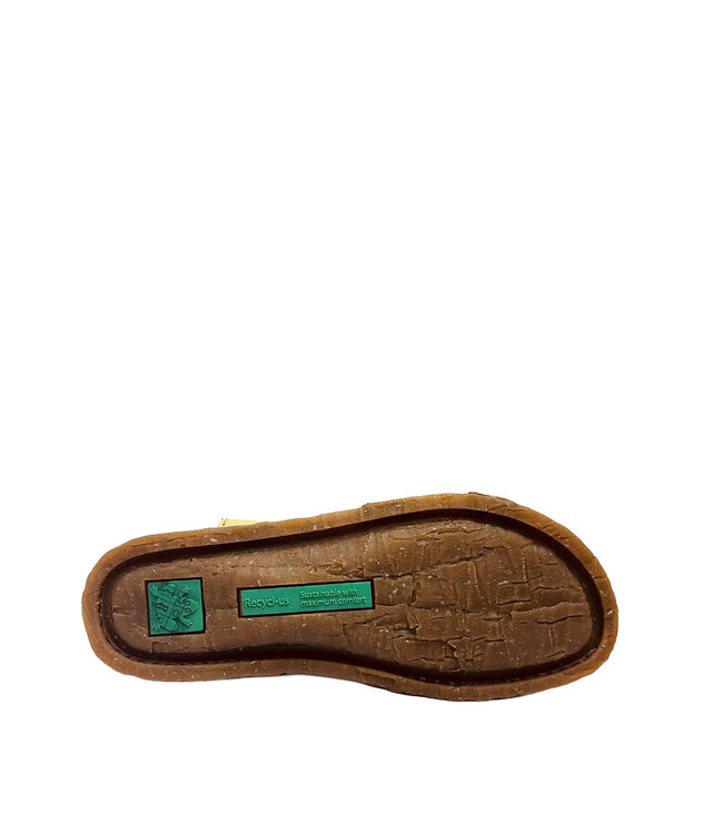 El Naturalista Panglao  N5819 Miel