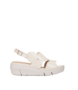 Wonders D-8210 Off White