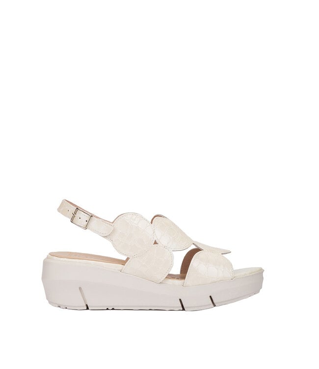 Wonders D-8210 Blanc Cassé