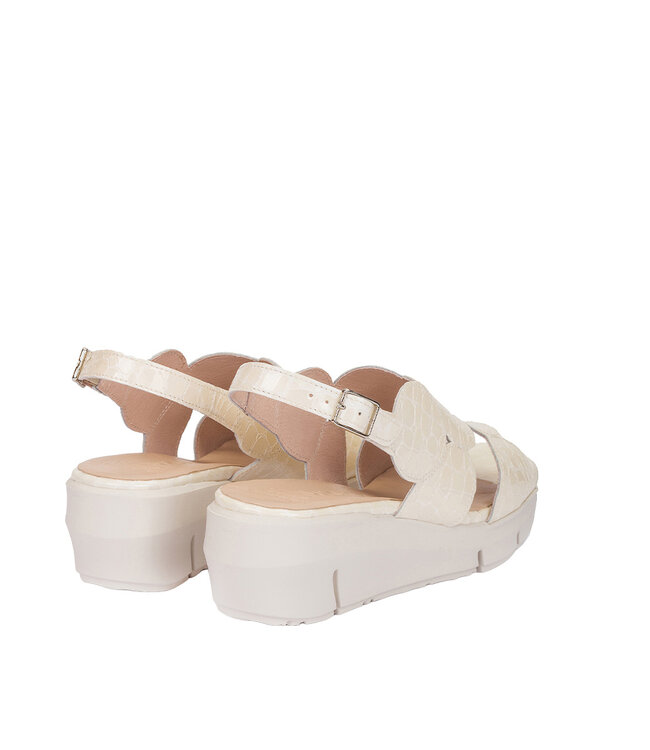 Wonders Women's - D-8210 Off White