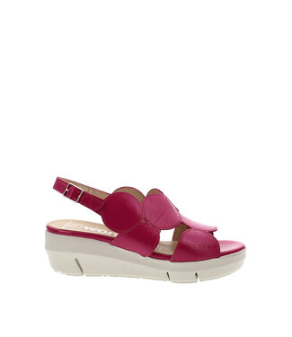 Wonders D-8210 Fuchsia