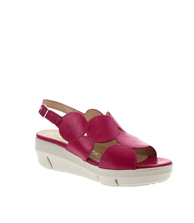 Wonders Women's - D-8210 Fuchsia