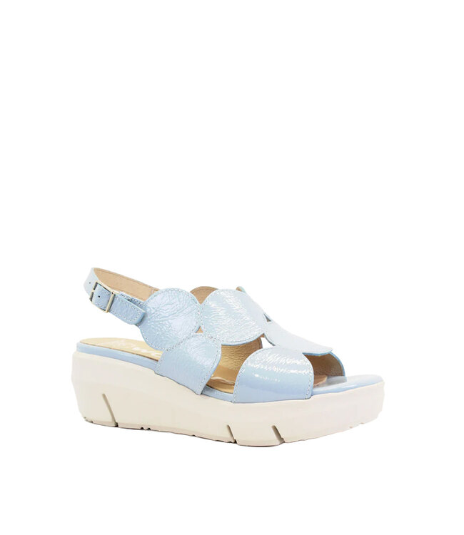 Wonders Women's - D-8210 Aura