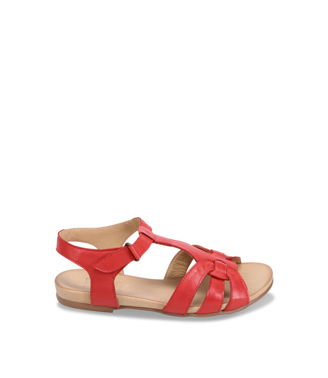 Miz Mooz Women's - Telly Scarlet
