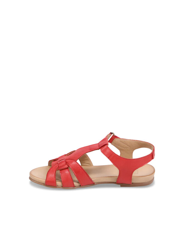 Miz Mooz Women's - Telly Scarlet