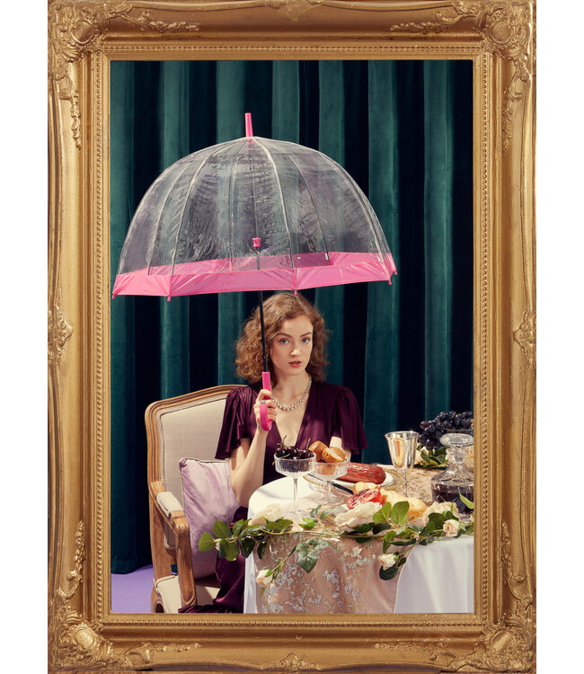 Fulton Birdcage 1 Pink