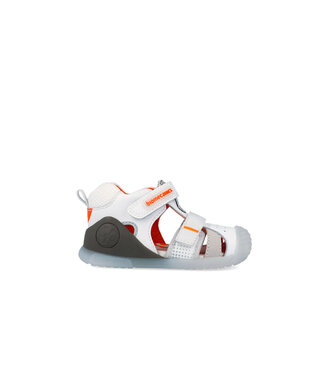 Biomecanics 262124 Blanc