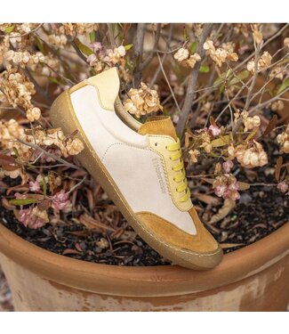 El Naturalista N5766 Crème / Miel