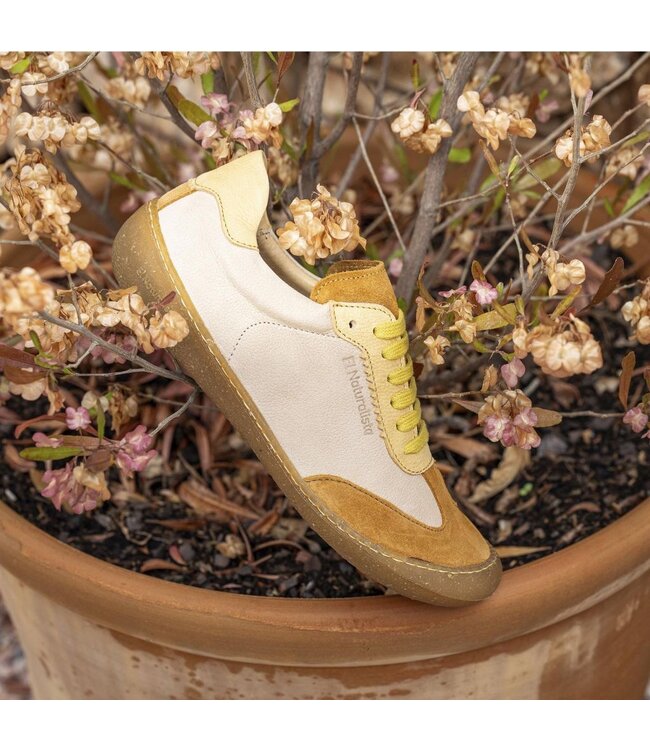 El Naturalista Hommes -N5766 Crème / Miel