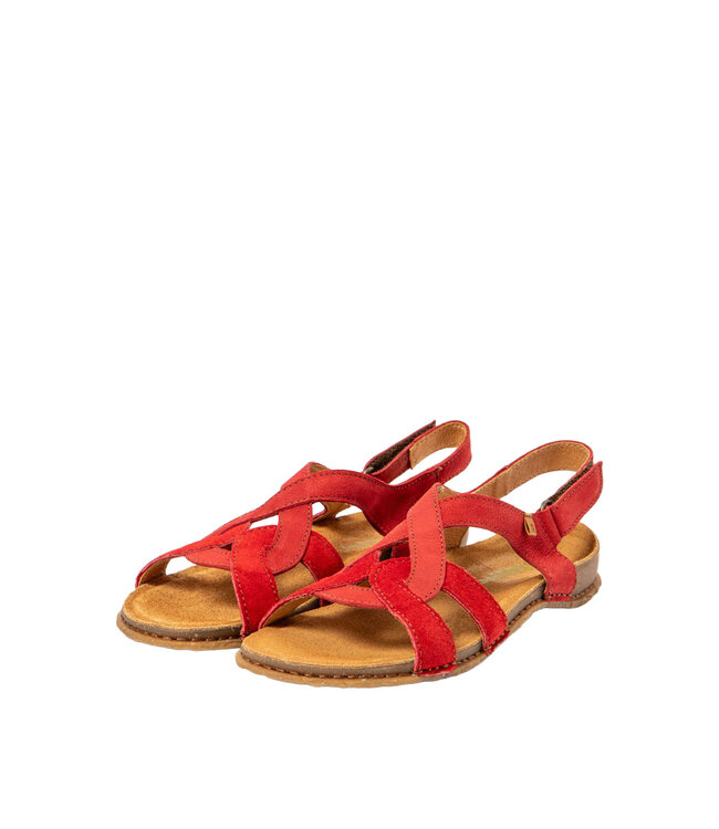 El Naturalista Panglao N5819 Tibet