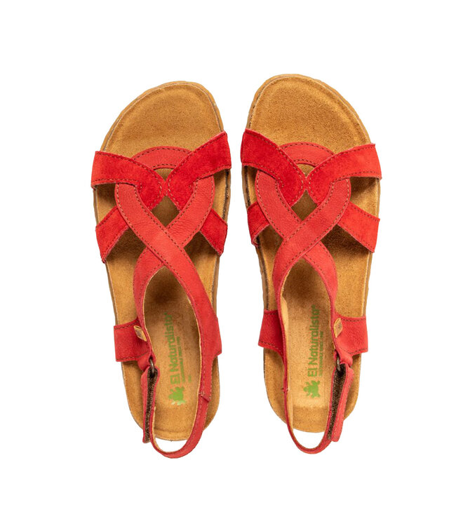 El Naturalista Panglao N5819 Tibet