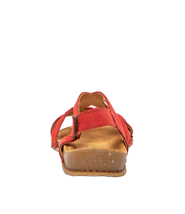 El Naturalista Panglao N5819 Tibet