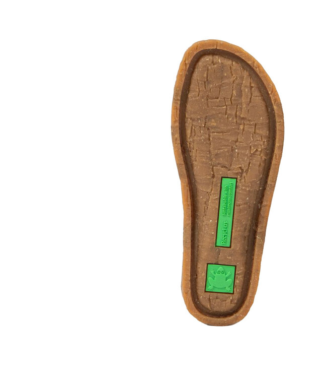 El Naturalista Panglao N5819 Tibet