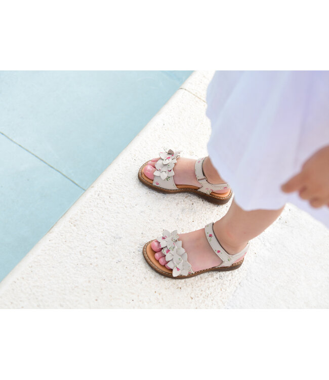 Froddo Kid's - Lorine Flowers Cream