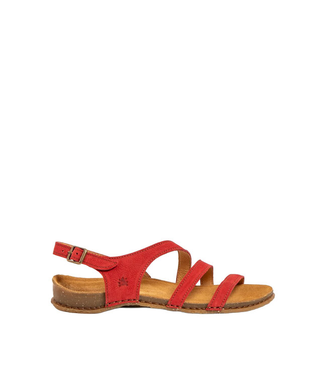 El Naturalista Panglao N5811 Tibet