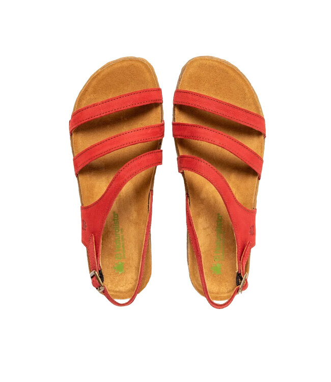 El Naturalista Panglao N5811 Tibet